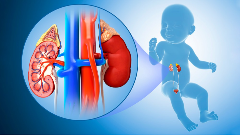 Best Urology Hospital in Ahmedabad  
